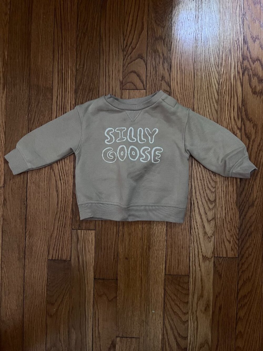 Little Co. Silly Goose Baby Sweatshirt, Brown/Gray, 9M